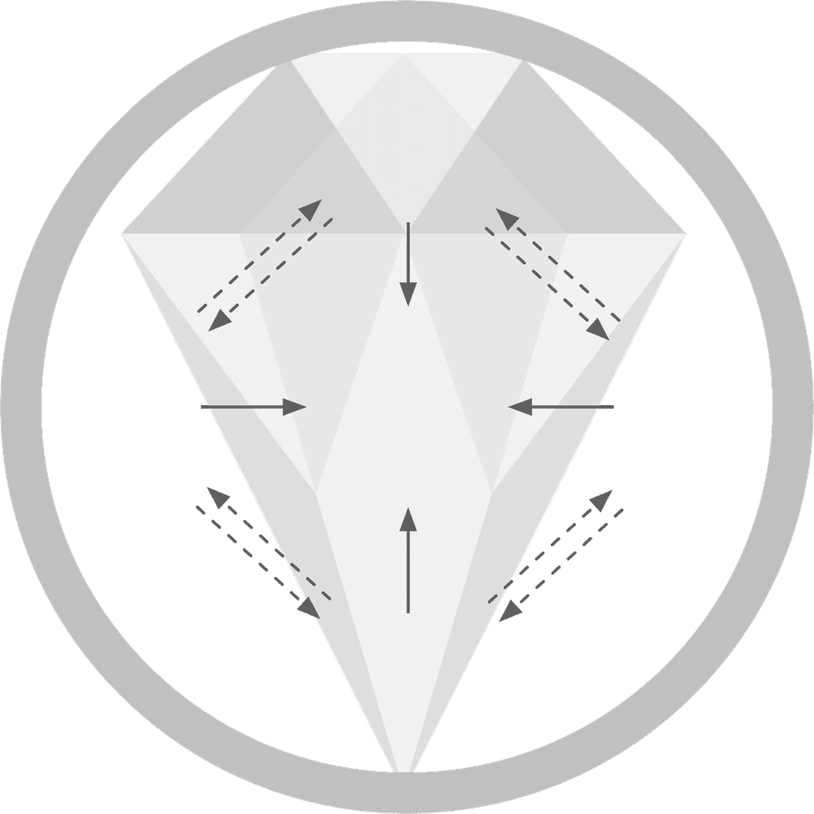 Evolving entrepreneur graphic